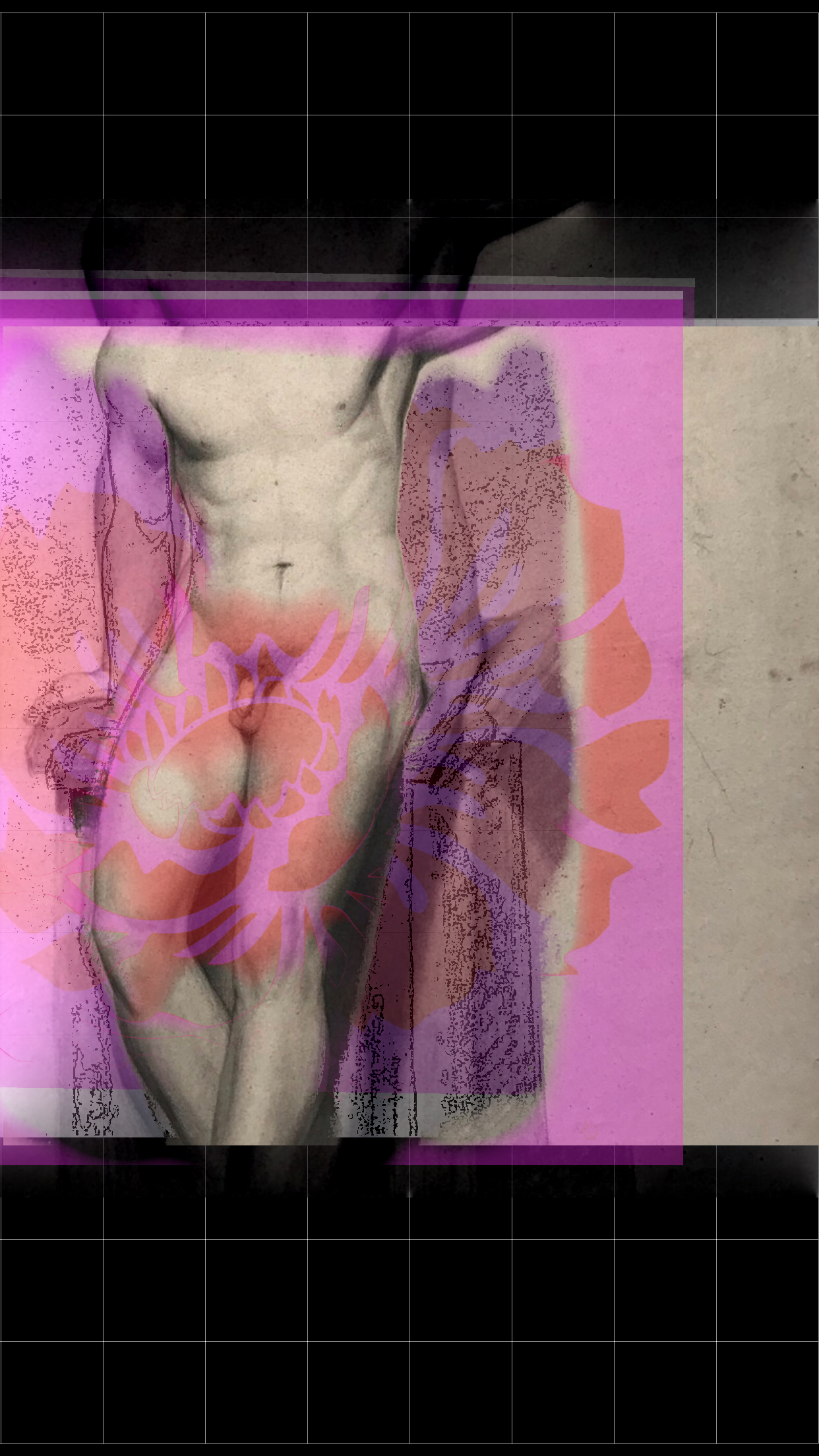 Enlight749.tiff